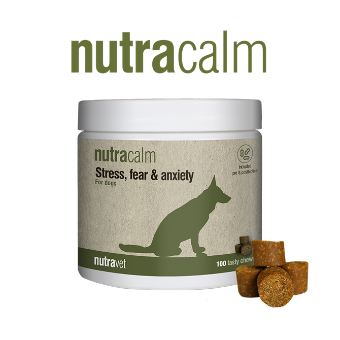 Nutravet Nutracalm Chews for Dogs - Pack of 100