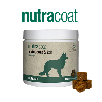 Nutravet Nutracoat for Dogs - 100 Chews