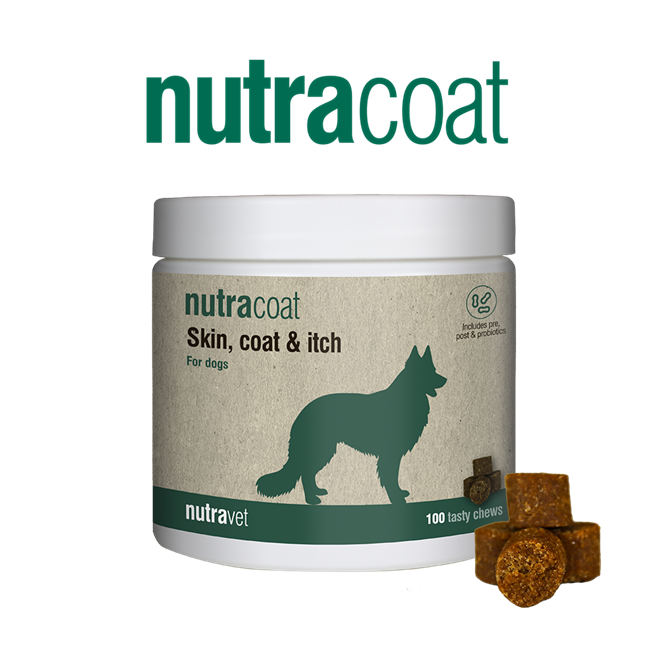 Nutravet Nutracoat for Dogs - 100 Chews
