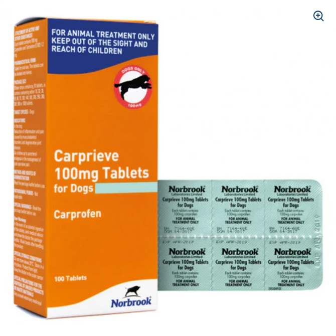 100mg Carprieve Tablet - per Tablet