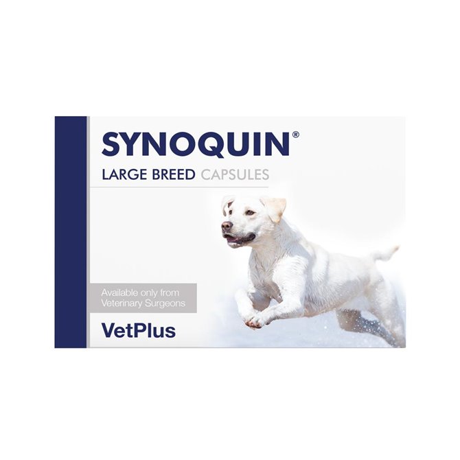Synoquin EFA Capsules Large Breed - Pack of 120 Synoquin EFA Capsules Large Breed - Pack of 120