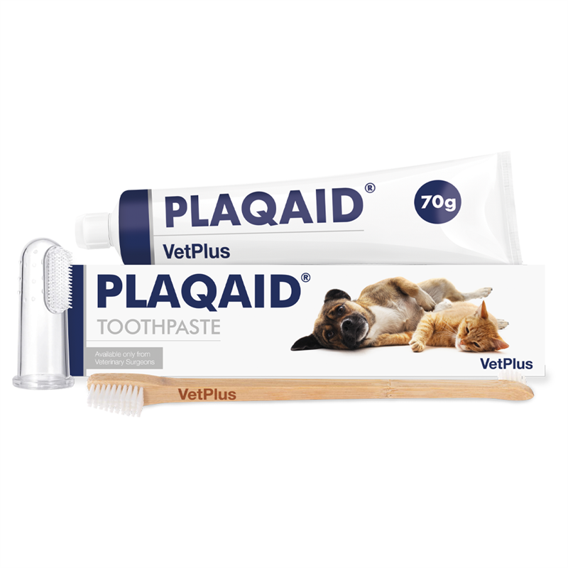 Plaqaid Toothpaste for Dogs & Cats | Veterinary Toothpaste