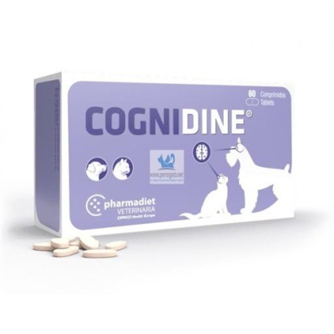  Pharmadiet Cognidine - Pack of 60 Tablets