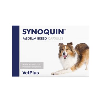 Synoquin EFA Capsules Medium Breed - Pack of 120