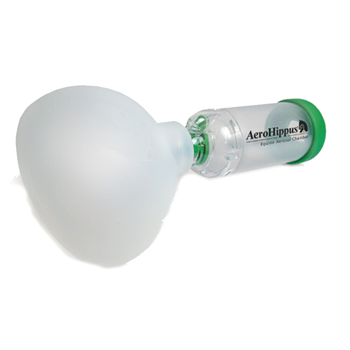 AeroHippus Respiratory System