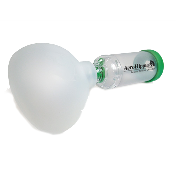AeroHippus Respiratory System