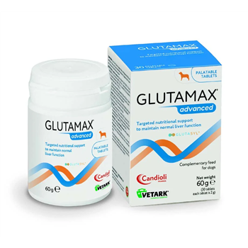 Glutamax Advanced Tablets for Dogs - Pack of 30