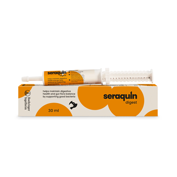 Seraquin Digest Paste for Cats and Dogs - 30ml