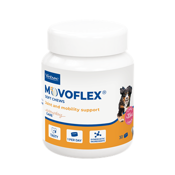 MOVOFLEX Large Dog Chews Over 35kg - Pack of 30