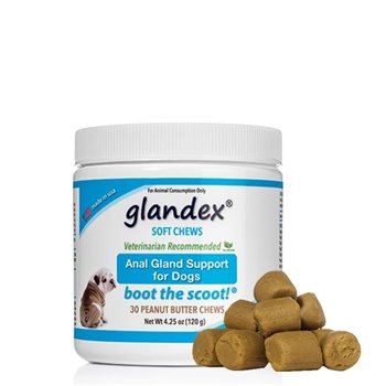 Glandex Peanut Butter Soft Chews for Dogs - Pack of 30