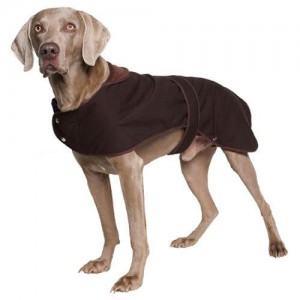 Ancol Timberwolf Wax Dog Coat - Extra Large Ancol Timberwolf Wax Dog Coat - Extra Large