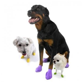 Pawz Disposable Rubber Dog Boots