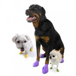Pawz Disposable Rubber Dog Boots Pawz Disposable Rubber Dog Boots