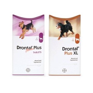 Cheaper Cat and Dog Wormers - Worm your pet without breaking the bank!