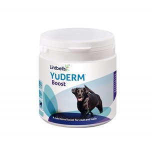 Dog Itchy Skin - Supplements to help Dog Skin & Coat - Pet Supplies