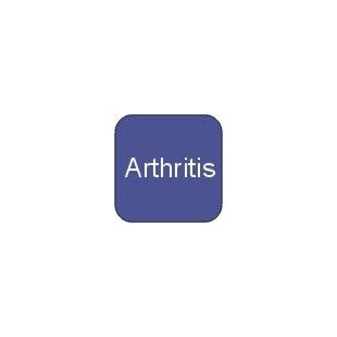 Horse Arthritis - Supplements for Arthritis in Horses - Online Pet Shop