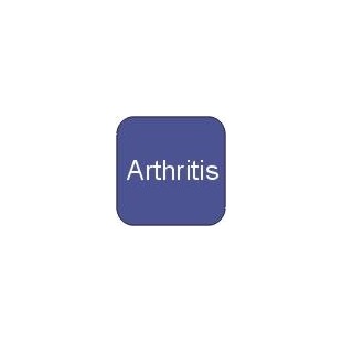Horse Arthritis - Supplements for Arthritis in Horses - Online Pet Shop