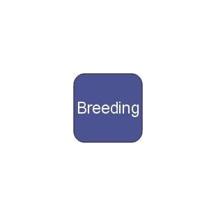 Equistro Breeding Supplements for Horses - Cheaper Pet Medication
