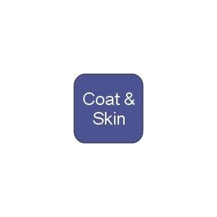  Essential Guide to Maintaining Healthy Skin and Coat for Your Horse