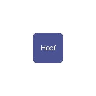 Hoof Supplements for Horses - Biotin for Horses - Online Cheaper Pet Medication Shop