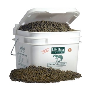 Laminitis in Horses - Horse Laminitis Products - Discount Cheaper Pet Medication