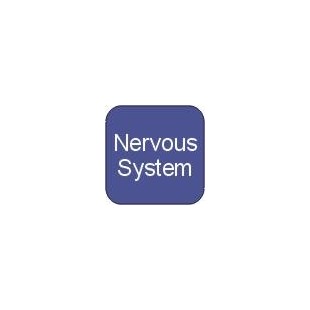 Nervous System Supplements for Horses - Pet Medicine for Horses
