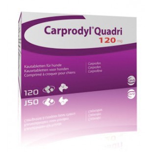 50mg Carprodyl Quadri & Carprodyl Quadri 120mg for Dogs