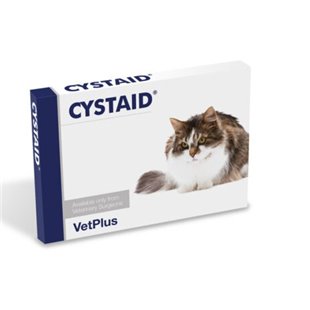 Treatment for Cystitis in Cats - Cystaid Capsules can help with Feline Cystitis