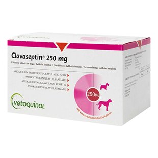 Clavaseptin Tablets - Buy Clavaseptin for Dogs and Cats 250mg and 500mg