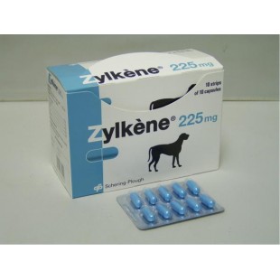 Zylkene Capsules - Zylkene for Dogs - Zylkene for Dog Stress on Bonfire Night