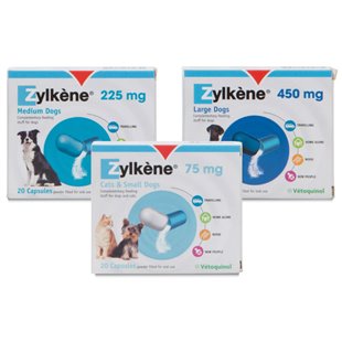 Zylkene - Zylkene for Cats - Zylkene to Calm Cats - UK Pet Dispensary