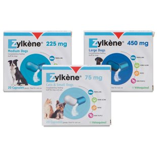 Relax Your Feline Friend with Zylkene - The Natural Solution for Cat Anxiety