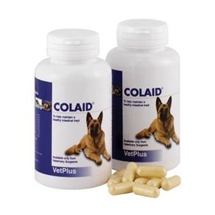 Colaid for Dogs - Colaid Digestion Support for Dogs