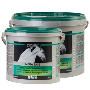 Equistro Megabase for Horses - Horse Megabase - Discount Cheaper Pet Medication