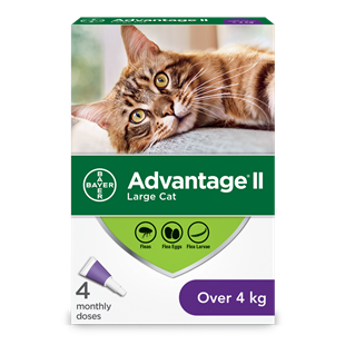 Advantage - Advantage for Cats - Advantage Flea Treatment - Online Pet Shop