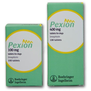 Pexion 400mg in stock - 100mg Pexion Tablets for Dogs - Pexion Epilepsy Medication for Dogs
