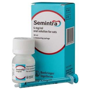 Semintra for Cats - Semintra Oral Solution for Cats with Chronic Kidney Disease