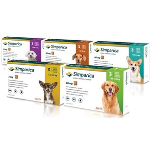 Simparica Tablets for Dogs - Pack of 3 and 6 Simparica Tablets