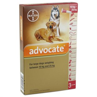 Advocate Spot on - Buy Discount Advocate for Dogs & Cats from Vet Dispense