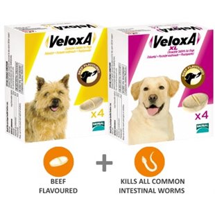 Veloxa Chewable Worming Tablets for Dogs: Effective and Safe Treatment for Intestinal Worms
