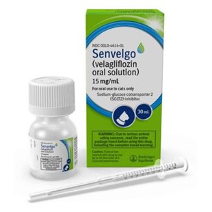 Diabetes in Cats | Signs, Causes and Treatments - Senvelgo, Prozinc