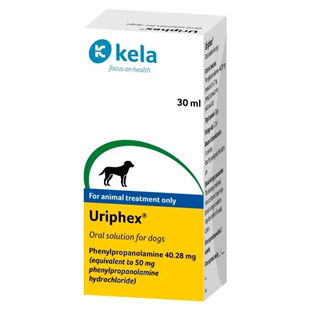 Uriphex for Canine Incontinence | Excellent Reviews, Fast Delivery